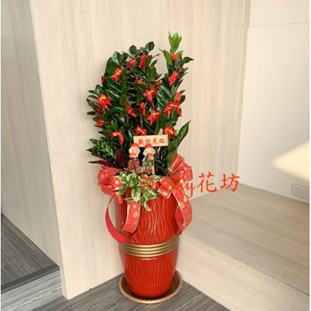 時代　中国　花台　盆栽台　珍品台　細密細工 台南Sunny花店台南網路花店