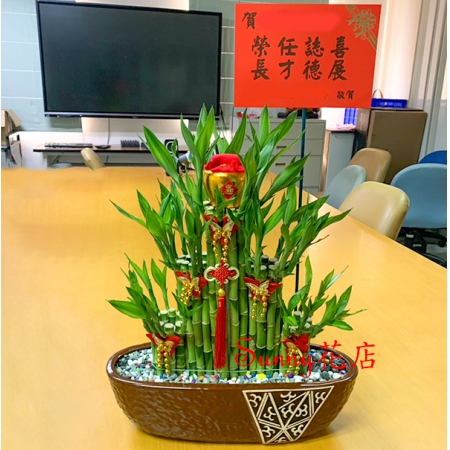 時代　中国　花台　盆栽台　珍品台　細密細工 楽天市場】盆栽 台湾黄楊 樹高 約20cm たいわんつげ