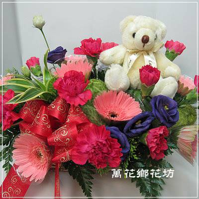 D051感恩時刻母親節康乃馨盆花-母親節花禮-台南市花店