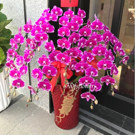 H025蝴蝶蘭組合盆景祝賀榮陞開幕台南市花店