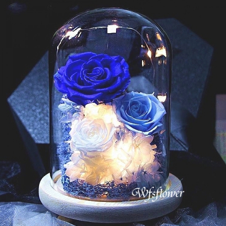 G041藍色花語永生玫瑰花玻璃罩情人節花束