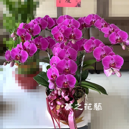 Responsive image