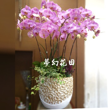 Responsive image