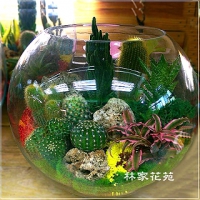 E014玻璃球~開運綠色組合造型盆栽
