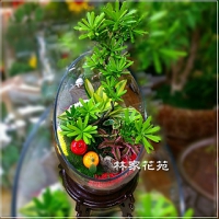 E016玻璃球~開運綠色組合造型盆栽