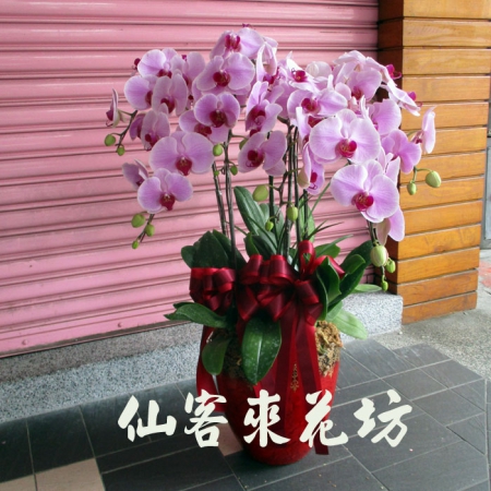 Responsive image