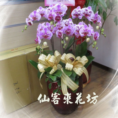 Responsive image