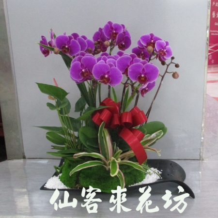 Responsive image