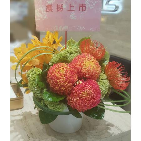 C014精緻盆花喜慶會場佈置盆花
