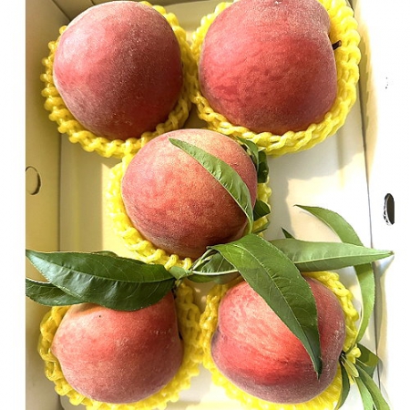 Responsive image