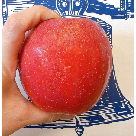 Responsive image
