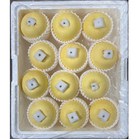 Responsive image