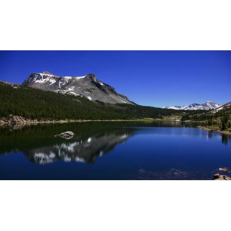 Responsive image