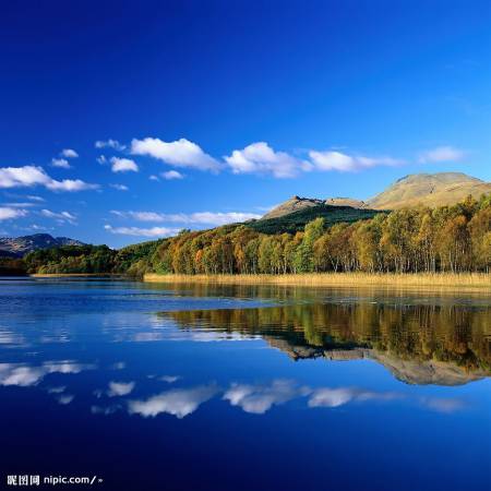 Responsive image