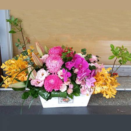 D095萬商雲集祝賀花禮開幕盆花台南市花店
