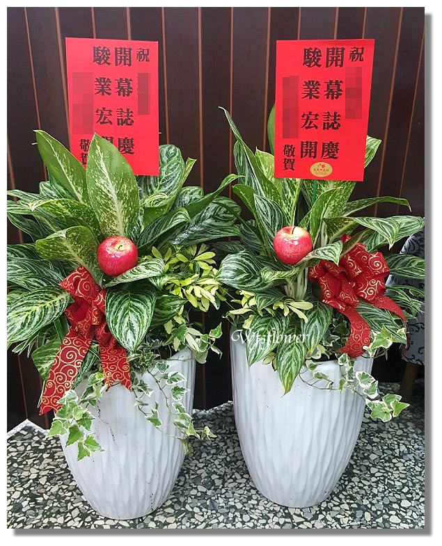 松月花坊台南網路花店tainan Flowershop