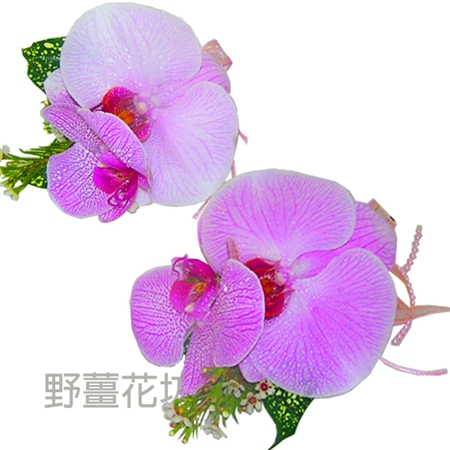 Responsive image