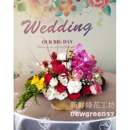 D005盆花