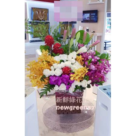 D047桌上型盆花