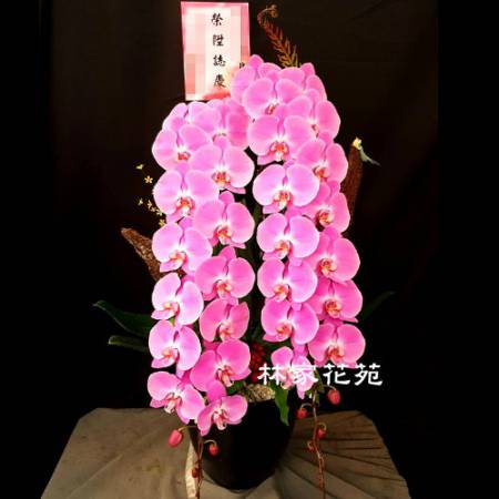 林家花苑新北市花店永和花店