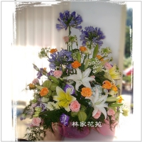 C006精緻盆花-花舞春風百合玫瑰