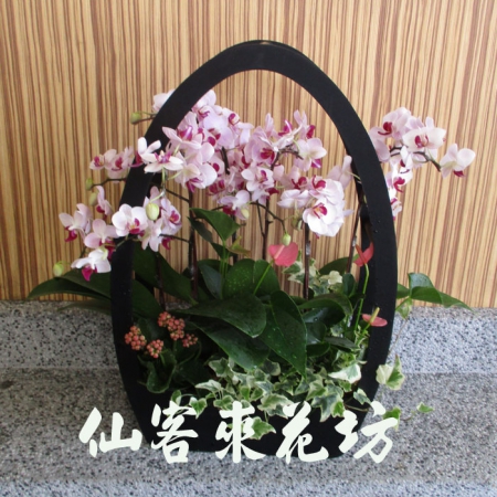Responsive image
