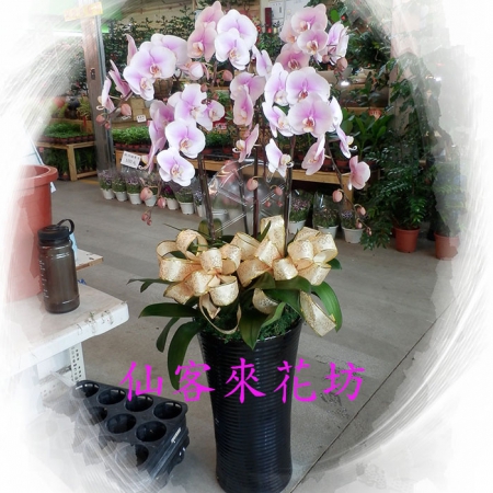 Responsive image
