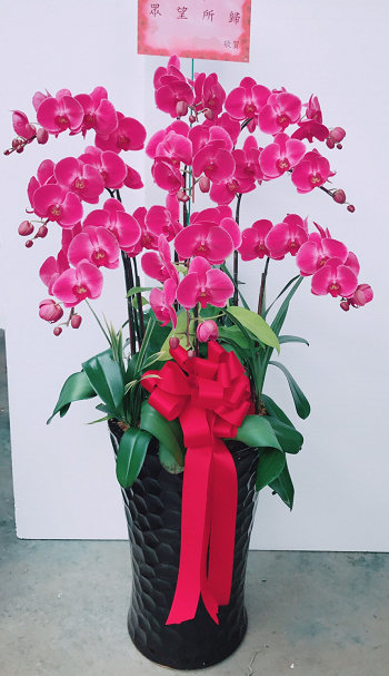 草木花舖演唱會花籃台北花店台北市中正區