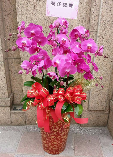 草木花舖演唱會花籃台北花店台北市中正區