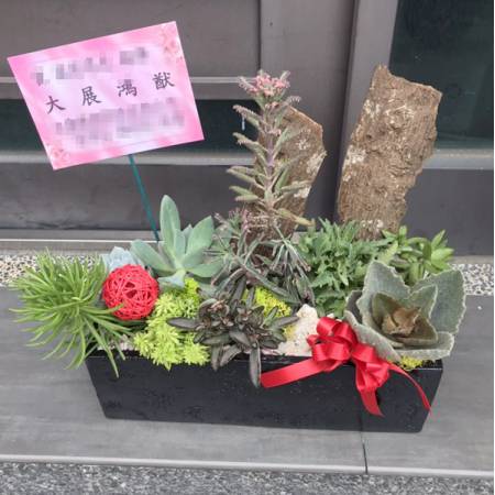 H002多肉植物組合盆栽