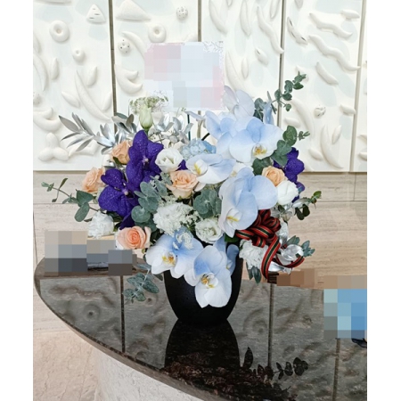 C0040祝賀盆花開幕喜慶會場盆花