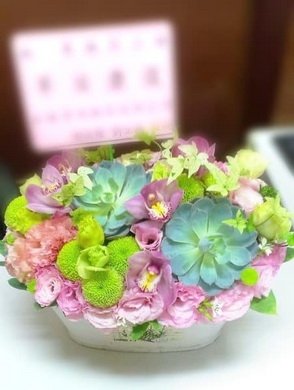 C052祝賀盆花開幕盆花喜慶盆花講台花