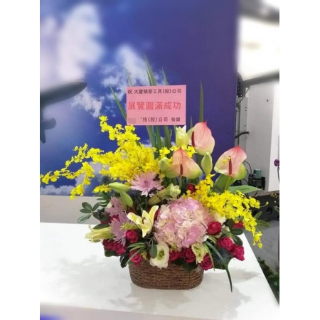 N004展出成功祝賀盆花開幕盆花喜慶盆花