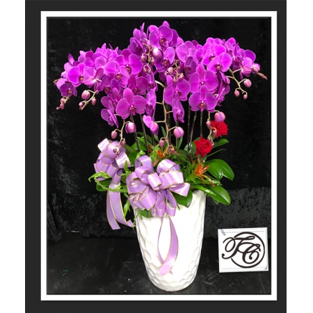 Responsive image