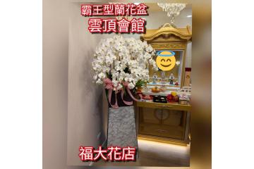 女性的輓詞範例 